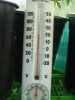 Greenhouse close to night temp n hum.jpg