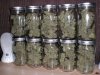 Jar o'buds2 (800x600).jpg