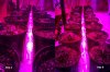 LED-grow-light.jpg