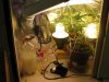 grow1 day45 007.jpg