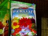 perlite.jpg