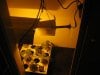 Flower room - light setup.jpg