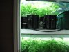 veg room 002.jpg