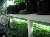 veg room 005.jpg