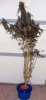 815748_Tall_Plant-thumb.jpg