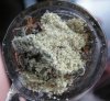 Kief_Bowl.jpg