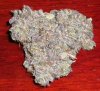 Blackberry Kush 1.jpg