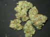 doggie nugs 001.jpg