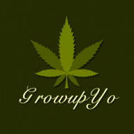 growupyo