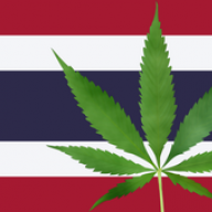 thailandTHC