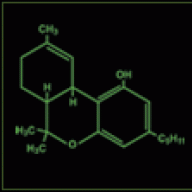 greenisthecolor55610