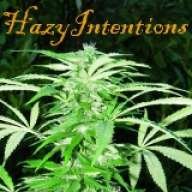 hazyintentions