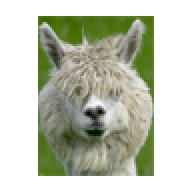 llamas