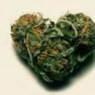 i <3 herb