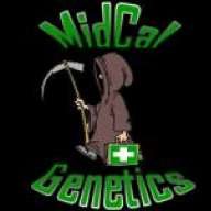 MidCal Genetics