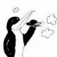 420penguin