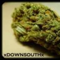 xDOWNSOUTHx