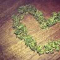 fortheloveofweed