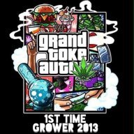 1st time grower 2013