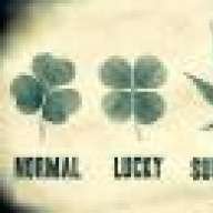 4LeafCLoverStoner