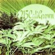 215caligrown