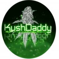 kushdaddy1980