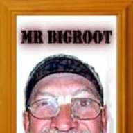 Mr. Bigroot