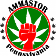 Ammastor