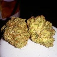 nandogotbuds