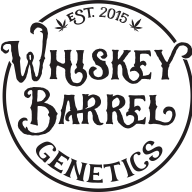 Whiskey Barrel Genetics