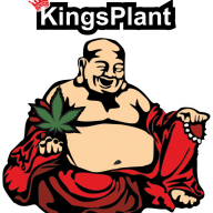 KingsPlant