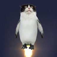 Rocket Pussy Penguin