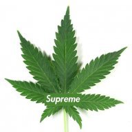 SupremeLeaf