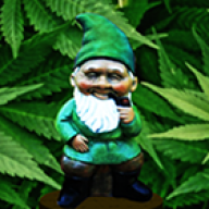 Green Gnome