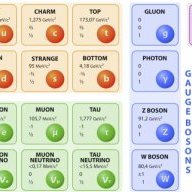 standard_model