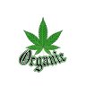 Organic Rich