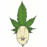 THC grower