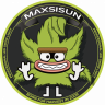 Maxsisun