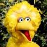 bigbird87