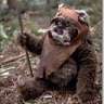 [ewok]