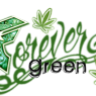 Forever Green