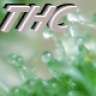 TheHealingCannabis