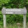 sugarbush