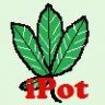 iPot