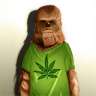 Kushbacca