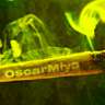 oscarmiya