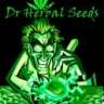 dr herbal