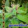 TwistedGenetics