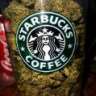 starbucks007