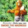 smokey de bear